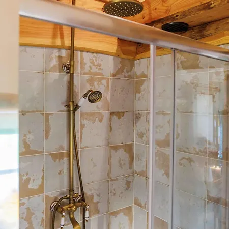 Patsys 415 * 乌克特拉德