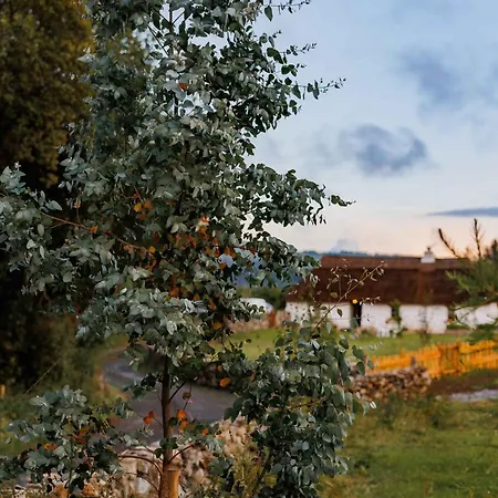 度假居 Patsys 415 *