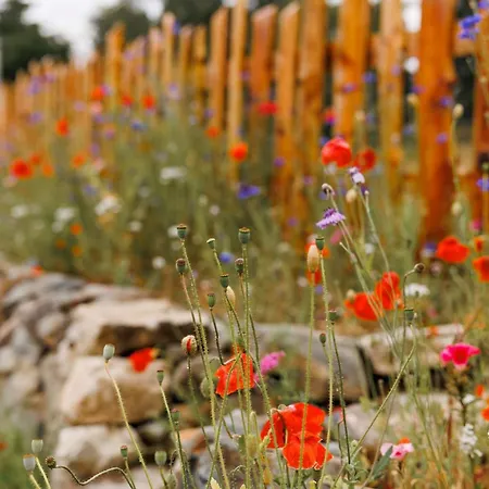 度假居 Patsys 415 *