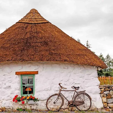 Patsys 415 * 乌克特拉德