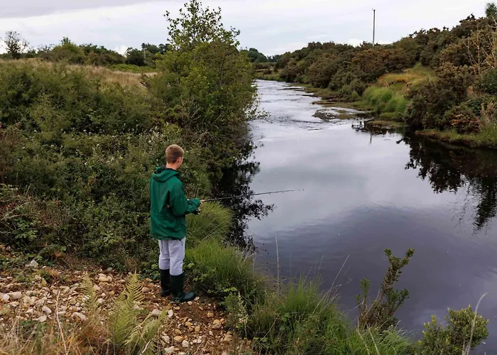 Patsys 415 Vakantiehuis Oughterard