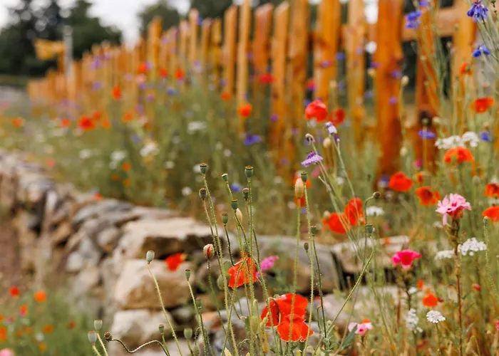 Vakantiehuis Patsys 415 *